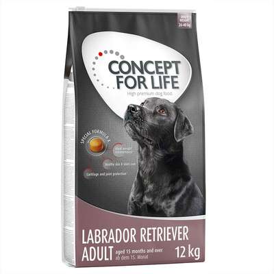 Concept for Life Labrador Retriever Adult 12kg