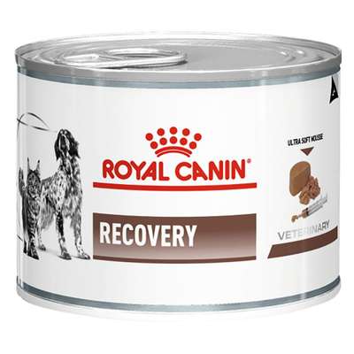Royal Canin Veterinary Canine Recovery Mousse | 48x195gram