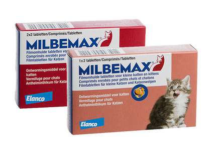 Milbemax ontworming kat | 2-8 kg | 4 tabletten