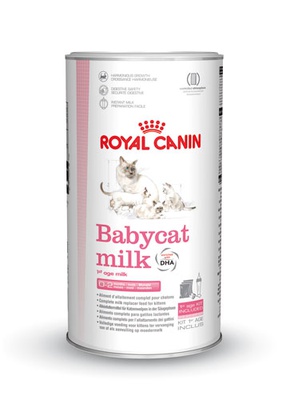 Royal Canin Babycat Milk 600 g (6 Vershoud Zakjes à 100 g)