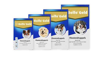 Bolfo Gold hond 40 | 2 pipetten