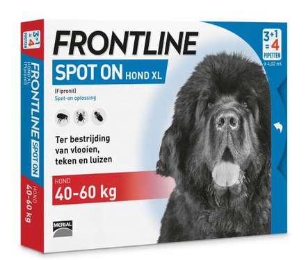 Frontline spot on hond extra large 40-60kg | 6 pipetten